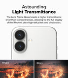 Astounding Light Transmittance